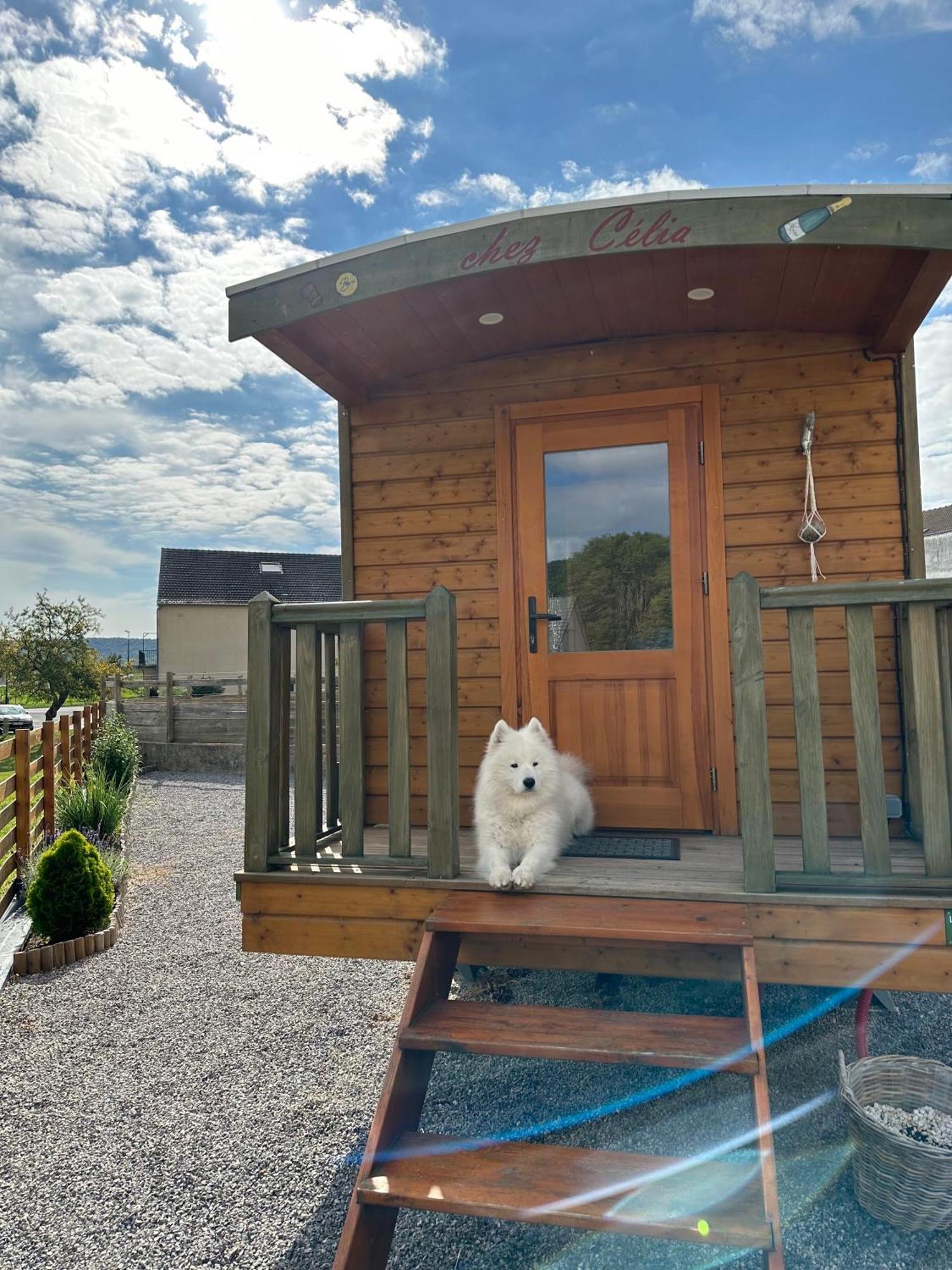 Chez Celia, Roulotte En Champagne Villa Fleury-la-Riviere Exteriör bild
