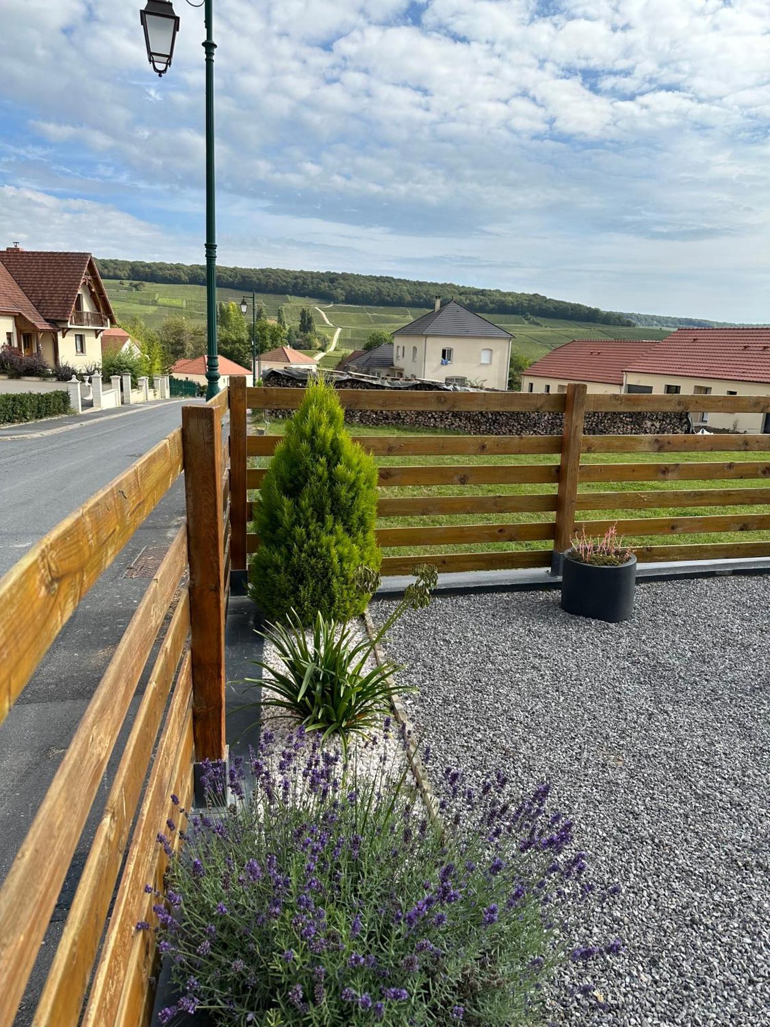 Chez Celia, Roulotte En Champagne Villa Fleury-la-Riviere Exteriör bild